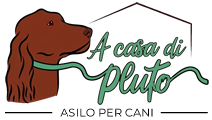 Asilo per cani Lago maggiore