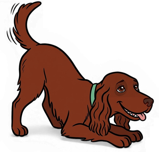 Asilo per cani Lago Maggiore